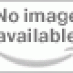 Safety Issues: Pedestrians, Law Enforcement, Seat Belts, Elderly Drivers, and Economics (Transportation Research Record)