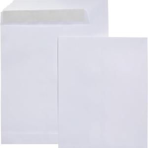 Basics Catalog Mailing Envelopes, Peel and Seal, 9x12 Inch, 100-Pack, White