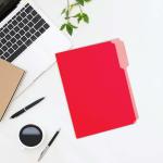 BAZIC 1/3 Cut Letter Size Color File Folder (6/Pack)