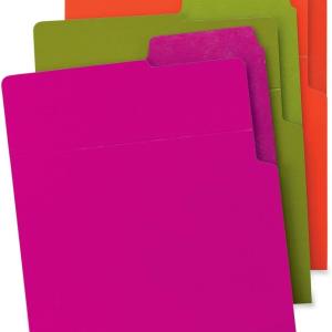 Sme Organized Up Heavyweight Vertical File Folders, Dual Tabs, Letter Size, Bright Tones, 6 per Pack (75406)