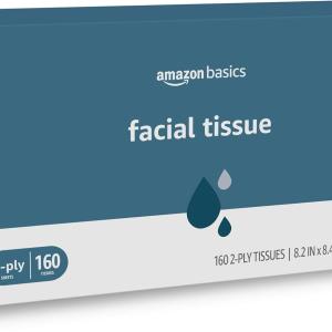 Basics 2-Ply Facial Tissue, 160 Count