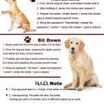 Pet Training Clicker with Wrist Strap - Dog Training Clickers (New Black + Blue)