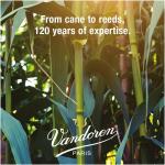 Vandoren CR805 Bb Clarinet V21 Reeds Strength 5; Box of 10