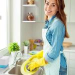 6Pcs Steel Wool Scrubbers - Flexible Scrubber Ps for Cleaning Dishes, Pots, Pans, Grills and Sinks