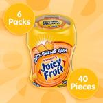 JUICY FRUIT Gum Sugar-Free Chewing Gum, JUICY FRUIT Chews, 40 Pieces Per Bottle, (Pack of 6)