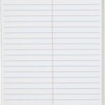 TOPS Spiral Steno Books, 6" x 9", Gregg Rule White Paper, Assorted Covers, 80 Sheets per Book/4 Books per Pack (80220)