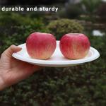 GreenWorks 100 Count 9“ Heavy-duty Compostable Plates, Unbleached Biodegrable Bagasse and Bamboo fiber Paper Plates