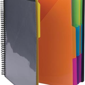 Sme Project Organizer, 24 Pockets, Grey with Assorted Bright Tabs, Tear Resistant Poly, 1/3-Cut Tabs, Letter Size (89206)