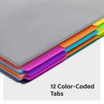 Sme Project Organizer, 24 Pockets, Grey with Assorted Bright Tabs, Tear Resistant Poly, 1/3-Cut Tabs, Letter Size (89206)