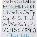 School Smart Chart Paper P, 32 x 24 Inches, Unruled, 25 Sheets