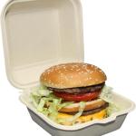 Biodegrable To Go Food Containers - Heavy Duty Disposable Clamshell Take Out Boxes with Lids. Designed for Restaurant Delivery or Home (6X6 Clamshell Container 100pck)