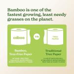 Caboo Tree Free Paper Towels, 8 Rolls, Earth Friendly Sustainable Kitchen Paper Towels with Strong 2 Ply