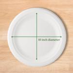 Caboo Disposable Bamboo Paper Plates, 125 Pack of 10 Inch Sturdy Biodegrable Plates, Compostable Plate, Microwave Safe Party Plate, Eco Friendly Alternative to Plastic