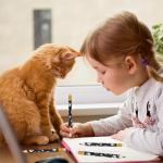 Whaline 48Pcs Dog Paw Short Pencils with Erasers White Black Paw Print Writing Pencil Cute Wood Pencils for Classroom Prize Student Rewards Baby Shower Party Supplies Stationery Gift Set