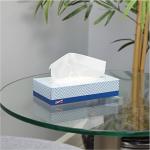 Genuine Joe Facial Tissue, 7.9" x 7.5", 2-Ply, 100 Sheets/Box, 30 Count
