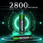 BEVIGOR Rechargeable AA Batteries with Charger, 10 Pack 2800mAh High Capacity Ni-MH Double A Batteries with Smart 8 Bay Smart Battery Charger, USB Fast Charging