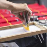 Caydo 6 Pieces 3 Size Wood Silk Screen Printing Frame with Mesh for Screen Printing, 10 x 14 Inch, 8 x 12 Inch, 6 x 10 Inch