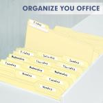 File Folder, PANDRI 220 Pack File Folder, 1/3 Cut Tab, Letter Size, Filing Folder for Office School Business, Manila