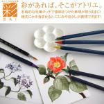 Akashiya Fude Brush Pen Sai, Ash Grey (CA200-11)