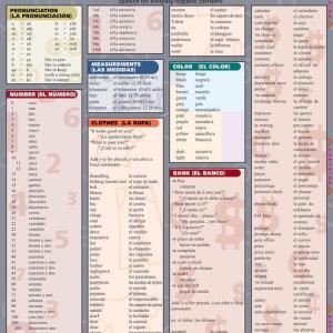 Spanish Vocabulary QuickStudy Laminated Reference Guide