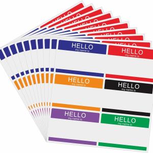 300 Pcs Hello My Name is Stickers Bright Colorful Trendy Name Bge Tag Labels for Office, Meeting,Party and Mailing 3-1/2 × 2-3/8 Inch - 6 Color Per Sheet,50 Sheets（Style A）