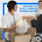 Bubble Cushioning Wrap Rolls, 3/16" x 12" x 72' ft Total [2 Rolls of 36 Feet] Perforated Every 12", 20 Fragile Stickers for Packaging, Shipping, Mailing