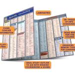 Spanish Vocabulary QuickStudy Laminated Reference Guide