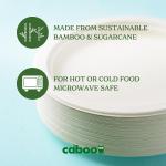 Caboo Disposable Bamboo Paper Plates, 125 Pack of 10 Inch Sturdy Biodegrable Plates, Compostable Plate, Microwave Safe Party Plate, Eco Friendly Alternative to Plastic