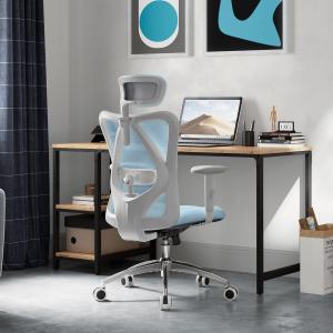 SIHOO M18 Ergonomic Office Chair, Computer Desk Chair with justable Herest and Lumbar Support, High Back Executive Swivel Chair for Home Office (Light Blue)