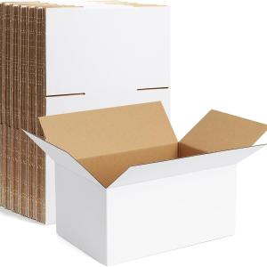 Famagic 10 Pack 10x7x5 Inch Small Shipping Boxes White Corrugated Cardboard Boxes Mailer for Small Business, Mailing Boxes for Packaging Bulk