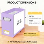 BALEINE File Organizer Box, Cardboard File Folder Organizer with Handle for Letter Size, Portable Collapsible Hanging Filing Box for Home Office Document Storage (2 Pack, Lavender)
