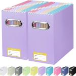 BALEINE File Organizer Box, Cardboard File Folder Organizer with Handle for Letter Size, Portable Collapsible Hanging Filing Box for Home Office Document Storage (2 Pack, Lavender)