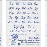 School Smart Chart Paper P, 32 x 24 Inches, Unruled, 25 Sheets
