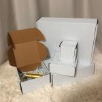 6x5x3 inch Shipping Boxes, White Corrugated Cardboard Box Literature Mailing Shipping Packaging Recyclable Storage Boxes and Craft Gifts Giving Products Business White Box Set of 25 (6''x5''x3'')