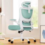 Marsail Ergonomic Office Chair: Office Desk Chair with High Back Mesh and justable Lumbar Support Rolling Work Swivel Task Chairs with Wheel 3D Armrests and Herest