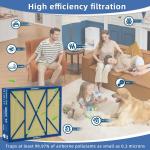 GAPCCCAR2025 Pet Care Filter Replacement Compatible with Bryant/Carrier Infinity MERV 16 Air Cleaner Purifier Cartridge GAPBBCAR2025/GAPCCCAR2025, 20" x 25"(actual size: 24.4" x 20.7" x 3.5"）