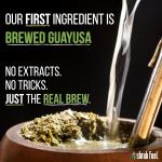 Shrub Fuel Zero Sugar Organic Guayusa Energy Drink | Cold Brewed Guayusa Tea, 100% Plant-Brewed Clean Energy, Original Berry Flavor, 16 FL Oz Cans (4 Pack)