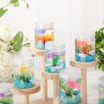 12 Set Fishbowl Craft Kit with Plastic Fish Bowl Floating Fake Goldfish Aquarium Plant Glow in The Dark Rock Seashell Mini Fish Tank Decoration Accessories for Party Supplies School Classroom