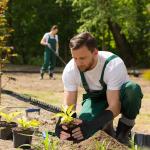 JenPen 3 Pairs Protective Arm Sleeves Arm Protectors for Thin Skin and Bruising Cut Resistant Sleeve Level 5 Burn Protection(Black, Gray, Blue,L)