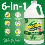 OdoBan Disinfectant Concentrate and Odor Eliminator, Me in the USA, Original Eucalyptus Scent, 134 Ounce 2-Pack
