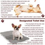 Pet Training Clicker with Wrist Strap - Dog Training Clickers (New Black + Blue)