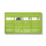 Well People Plant Power Skincare Starter Mini Set, Step-by-Step Skincare Kit For Cleansing, Hydrating, Exfoliating & Nourishing, Vegan & Cruelty-free