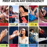 Large Pro First Aid Kit for Car, Travel & Home - Emergency Kit for Hiking, Camping, Backpacking and Outdoors - Includes Zip Stitch Wound Closure Strips