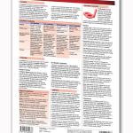 The Blood - Human Blood Guide - 8.5" x 11" Laminated Medical Quick Reference Guide by Permacharts
