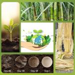 ECOLipak 32 OZ Large Compostable Disposable Paper Bowls, 70 Pack Biodegrable Bagasse Eco-Friendly Sugarcane Soup Bowls for Sal Wheat Flakes(Nature)