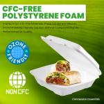 Concession Essentials Pack of 30CT Choice Large 9 x 9 x 3.5 Inch Foam 1-Compartment Containers, White, Hinged, with Optional Venting, Polystyrene, 9"L x 9"W x 3.5"H