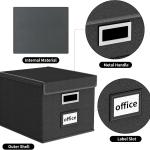 Huolewa File Organizer Box with Lid, Collapsible File Folder Organizer for Office Document Storage, Filing Box with Plastic Slide for Letter Size Hanging File Folders(1 Pack, Black)