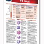 The Blood - Human Blood Guide - 8.5" x 11" Laminated Medical Quick Reference Guide by Permacharts