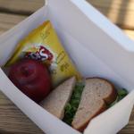 SCT Carryout Boxes, 9 x 5 x 4, White, Paper, 250/Carton