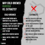 Shrub Fuel Zero Sugar Organic Guayusa Energy Drink | Cold Brewed Guayusa Tea, 100% Plant-Brewed Clean Energy, Original Berry Flavor, 16 FL Oz Cans (4 Pack)